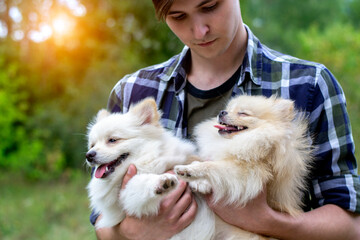 Dogs on a walk. A man holds two dogs. Happy dogs with master.