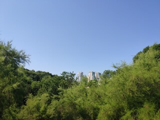 Fototapeta na wymiar tall office building on a green park background