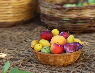corbeille de  fruits