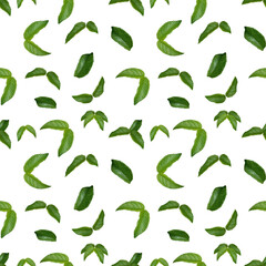 Pattern with green leaves on a white background. Seamless floral pattern for fabric, textile, wrapping paper.