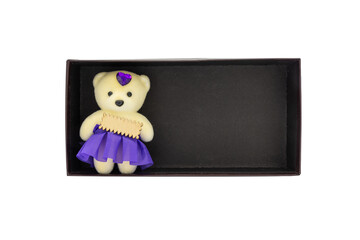 A cute girl bear on an empty black cardboard box.