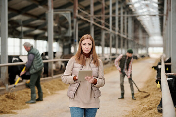 Portrait of serious female farmer analyzing livestock production using tablet while her husband and son feeding cows in background