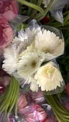 scenic view of bunch of white color gerbera Daisy flower
