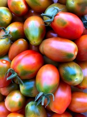 Delicious freshly collected red tomatoes