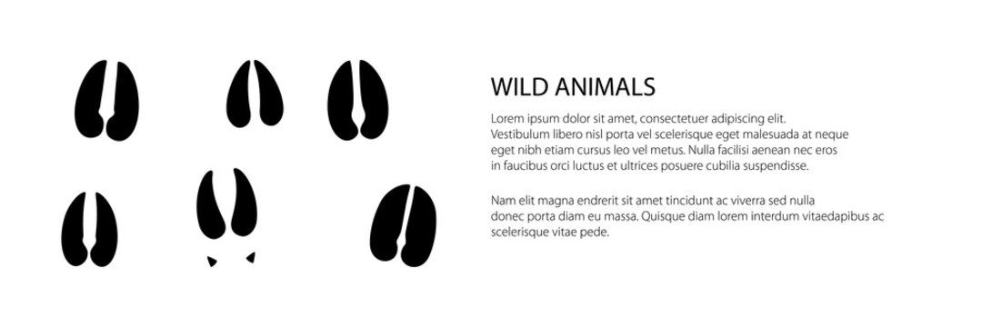 Banner of track of forest animals, traces of a deer and a roe deer and a moose , vector illustration