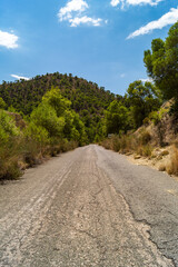 Fototapeta na wymiar Carretera asfalta en medio de la montaña que conduce al embalse Amadorio en Villajoyosa (Alicante, España). Preciosas vistas en un día soleado con nubes blancas y naturaleza verde que transmite calma.