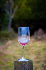 Abandoned wine glass