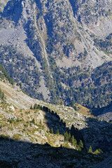 Sunrise on a alley of firs in Belledonne valley