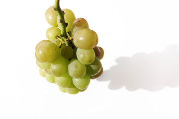 熟したマスカットの一房