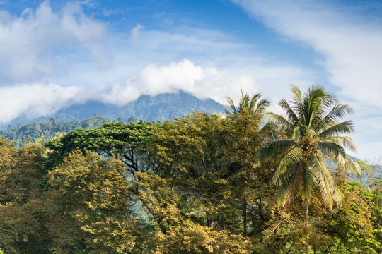 High angle view of forest with mountain and cloud in south of Thailand