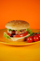 Hamburger or sandwich. Delicious sandwich hamburger with meat, cheese and fresh vegetable. Hamburger or sandwich is the popular fast food for brunch or lunch. Juicy cheeseburger