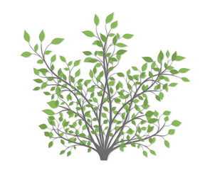 Bush plants with green leaves of different colors on a white background