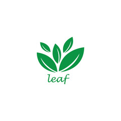 leaf logo vector illustration color design