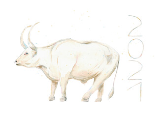 Watercolor hand drawn illustration of white bull with multicolored watercolor splashes and lettering 2021 on white