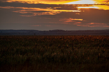 sunset over the field