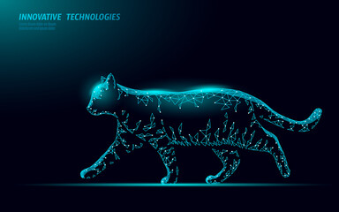 Cat silhouette veterinary clinic banner template. Black cat character Halloween spooky dark feline. Vet care medical help. Vet hospital doctor online logo vector illustration