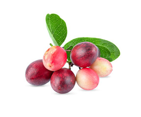  Karonda isolated on white background