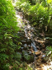 Obraz premium waterfall in the forest