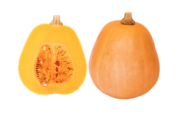 Butternut squash isolated on white background