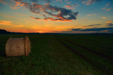 Fototapeta premium Field with hay bales at twilight.