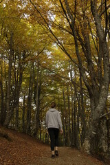 Fototapeta premium Ruta senderismo entre bosque otoñal
