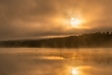 Ethereal moody sunrise with fog and steam being illuminated over a lake, as a bird flies across the water. Croton Gorge Park New York.