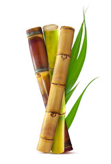 Fototapeta premium Tropical Sugar cane with leaf isolated on white background