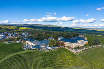 Fototapeta premium View of the beautiful Johannisberg Castle in the Rheingau / Germany in the middle of vineyards
