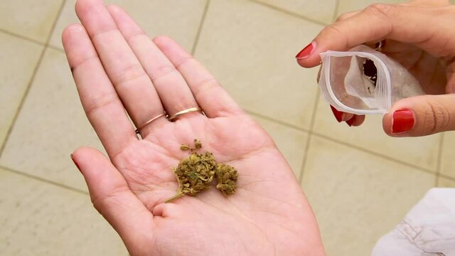 Une femme tient du cannabis dans ses mains et montre la drogue, illustration pour fumeur  