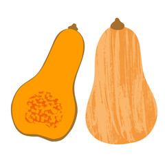 illustration of yellow pumpkin vegetable isotated on white background. illustration with textures.