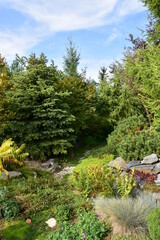 A garden in autumn colors on a clear October day.
