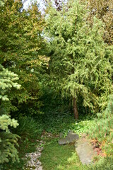 A garden in autumn colors on a clear October day.