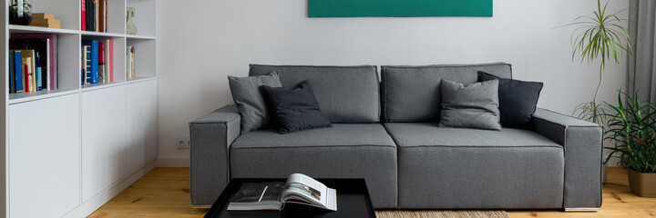 Simple and comfortable couch, panorama
