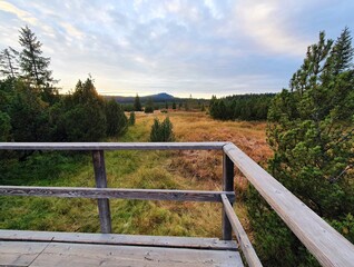 Wooden path in peat bog in Sumava National Park.