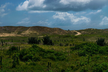 Caminhos da Sabiaguaba I