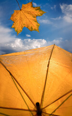 Autumn mood. Yellow maple leaf against the blue sky and a yellow umbrella with rain drops.