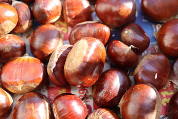 Obraz premium Castagne