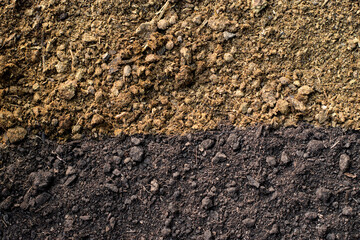 Manure or cow manure with loam for use in cultivation.