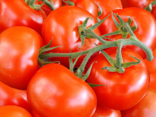 Vine tomatoes, ripe red and round