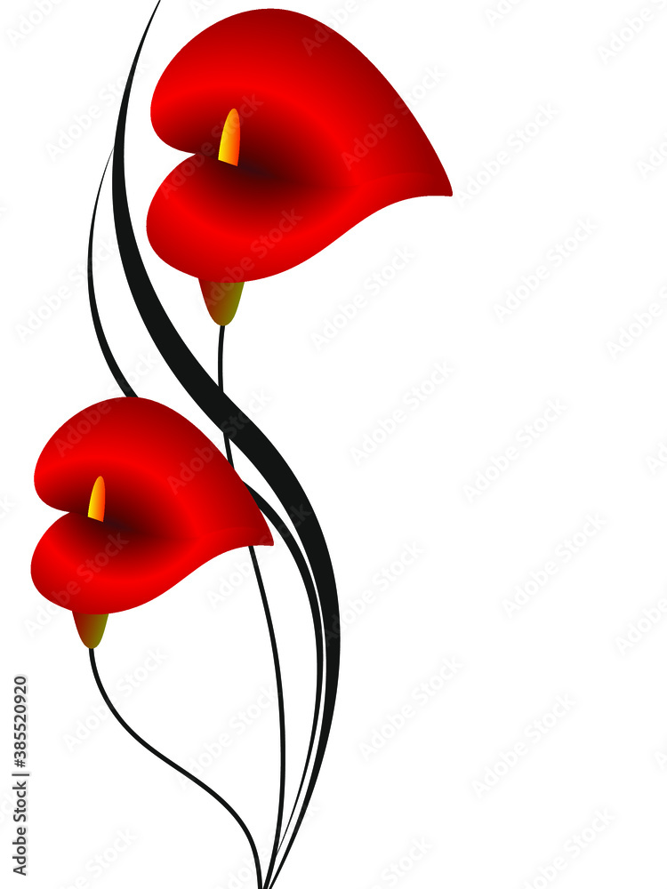 Canvas Prints background with red calla, design element.