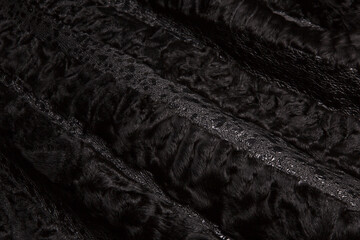 Texture black astrakhan fur skin. Background.