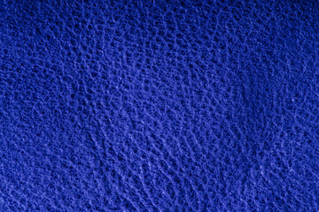 Texture of natural blue skin, macro. Background.
