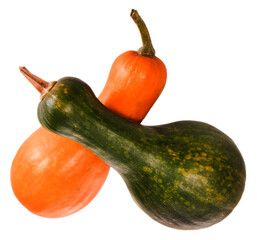 pumpkin yellow and green