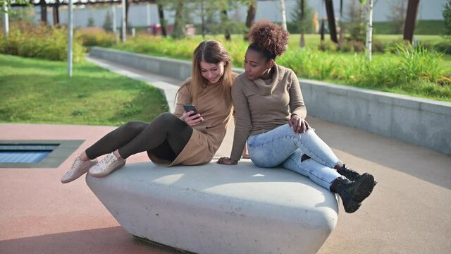 two girlfriends, white and black young women are watching photos in the phone, sitting in the park on a sunny day