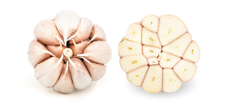 Garlic cut sliced insides isolated on white background.