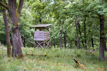 Hunting shelter in the forest