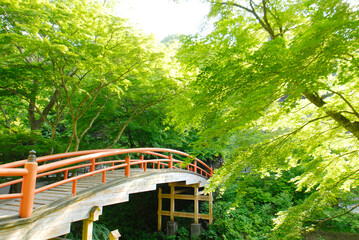 橋