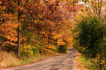 A country road in the Kettle Moraine winds through the blazing autumn colors of Wisconsin