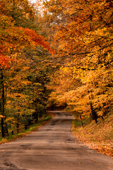 Fototapeta na wymiar A country road in the Kettle Moraine winds through the blazing autumn colors of Wisconsin
