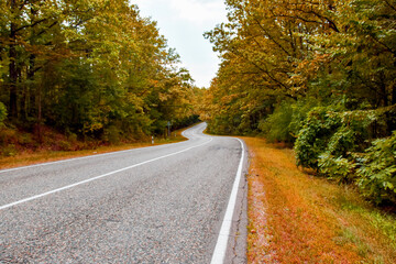 Fototapeta premium Autumn forest landscape and the road receding into the distance. Path through the autumn forest on an asphalt road. Natural background with copyspace. Empty road through the forest with colorful leave